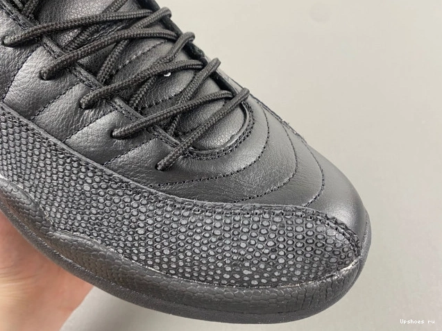 12 Master  Jordan Retro 130690-013  The  0409